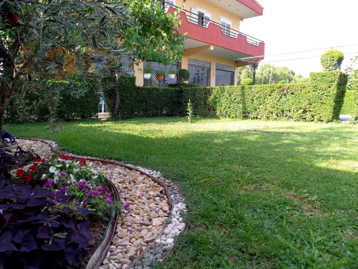 Manthoguesthouse Gjirokastër المظهر الخارجي الصورة
